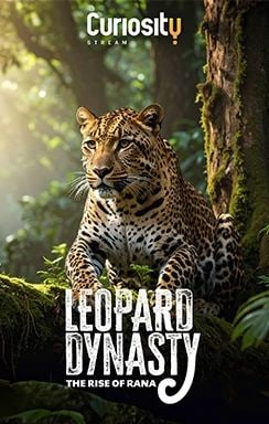 LEOPARD DYNASTY