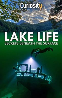LAKE LIFE