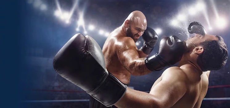 Two boxers in combat in the boxing ring.