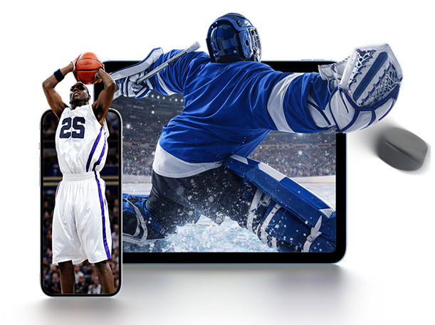 DIRECTV is your ticket to the pro basketball and hockey playoffs.
