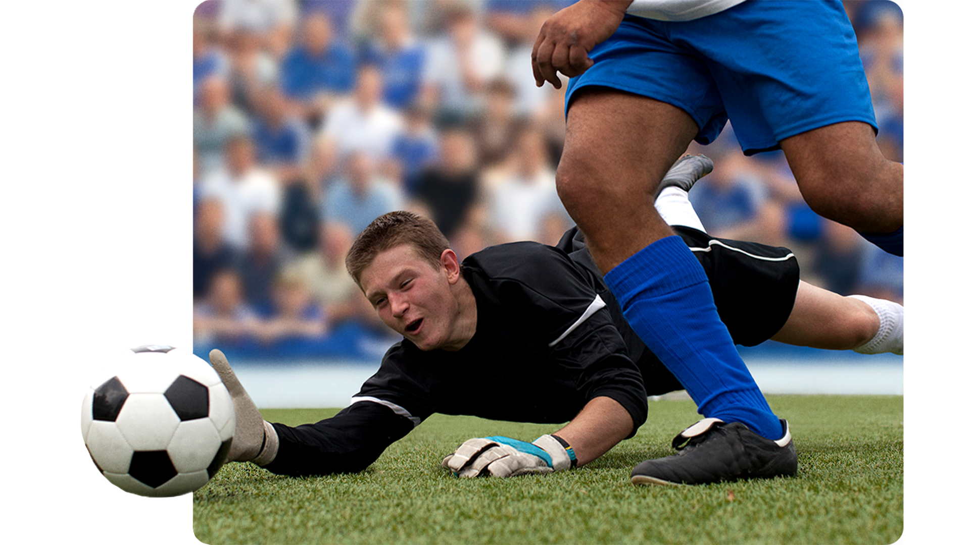 DIRECTV FOR BUSINESS