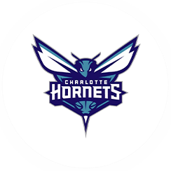 Charlotte Hornets-icon