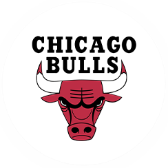 Chicago Bulls-icon