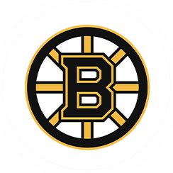 Boston Bruins-icon