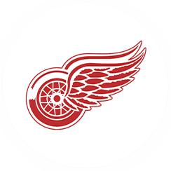 Detroit Red Wings-icon